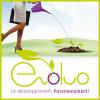 Evoluo - Burdinne Evoluo - Burdinne