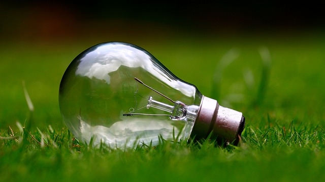 Ampoule posée dans l'herbe