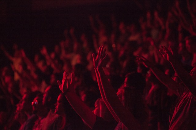 Foule lors d'un concert de musique