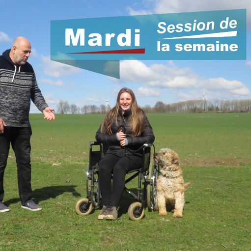 Formation bimensuelle sur la zoothérapie, session de la semaine