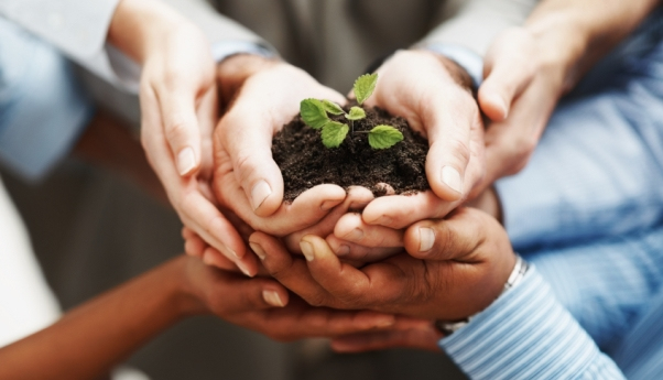 Mains jointes prenant la forme d'un pot rempli de terre au milieu duquel pousse une plante