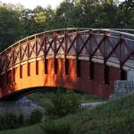 pont en bois qui traverse une bute d'herbe