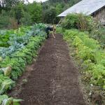 Potager