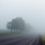 Route dans le brouillard