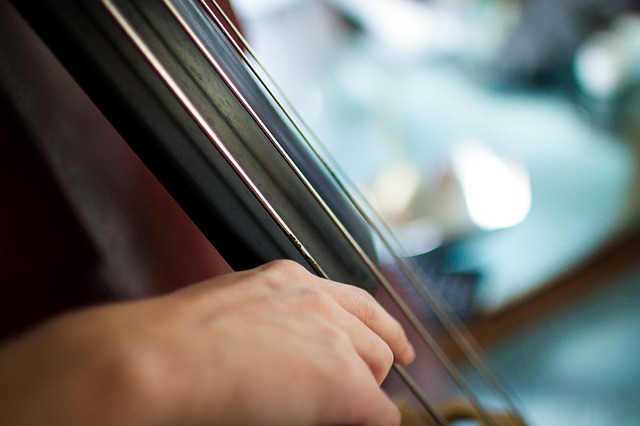 Cordes d'un violoncelle